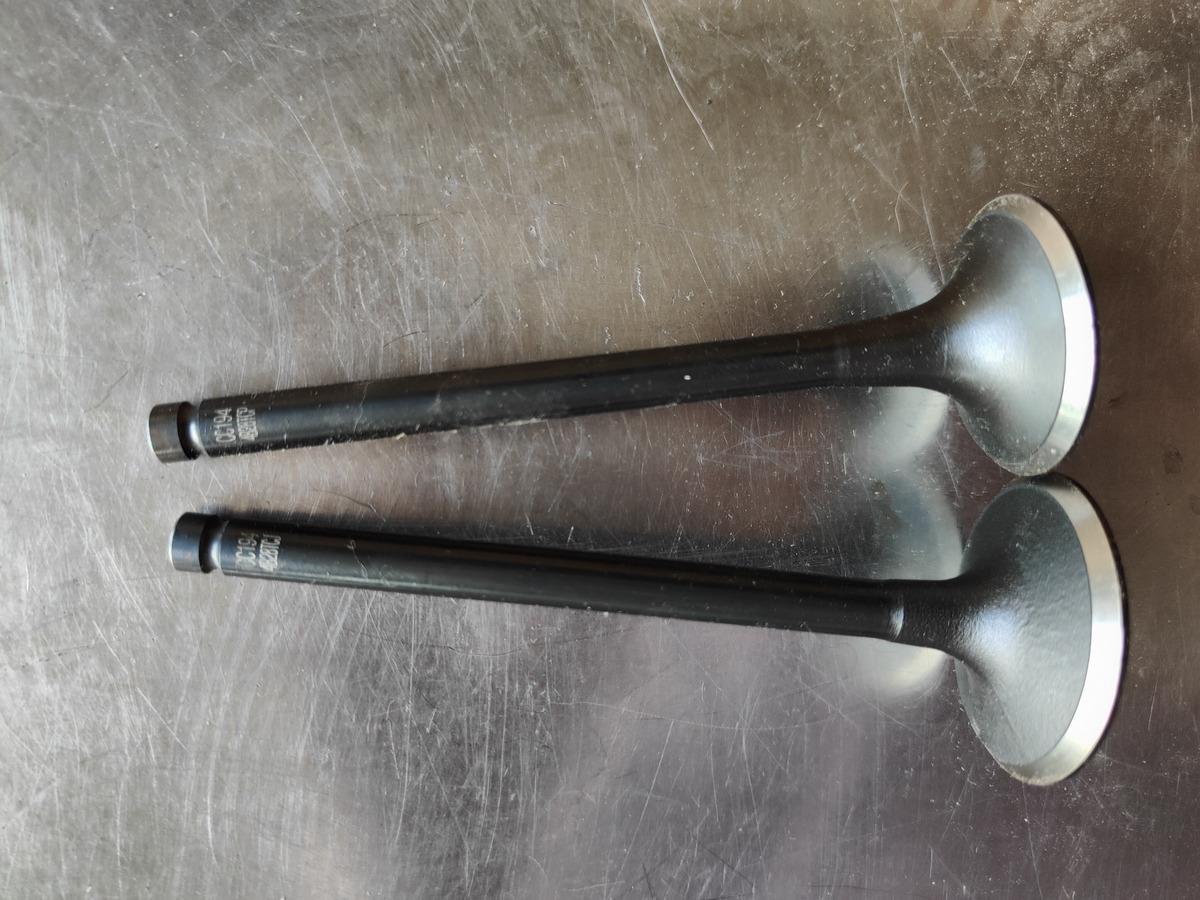 CHANGCHAI 4L68 Engine Intake/Exhaust Valve - Valve pour Chargeuse sur pneus: photos 1 CHANGCHAI 4L68 Engine Intake/Exhaust Valve - Valve pour Chargeuse sur pneus: photos 1