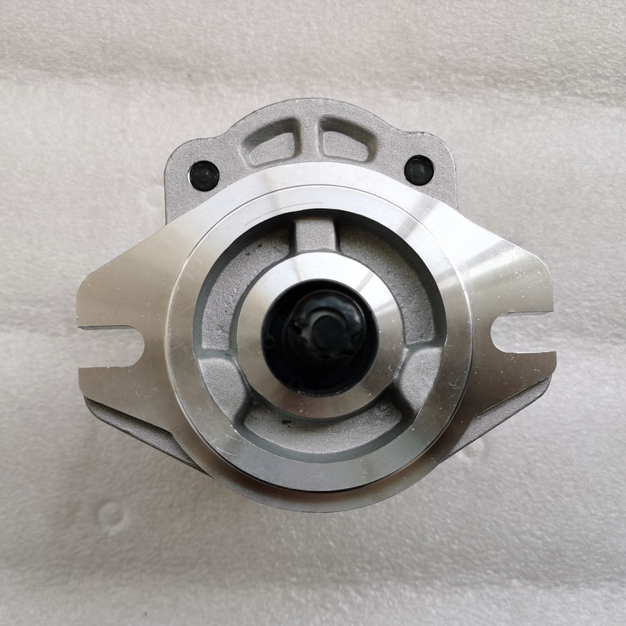 QINGDAO PROMISING Hydraulic Pump CBWA-F314-AL5Φ9 - Pompe hydraulique pour Chargeuse sur pneus: photos 3 QINGDAO PROMISING Hydraulic Pump CBWA-F314-AL5Φ9 - Pompe hydraulique pour Chargeuse sur pneus: photos 3