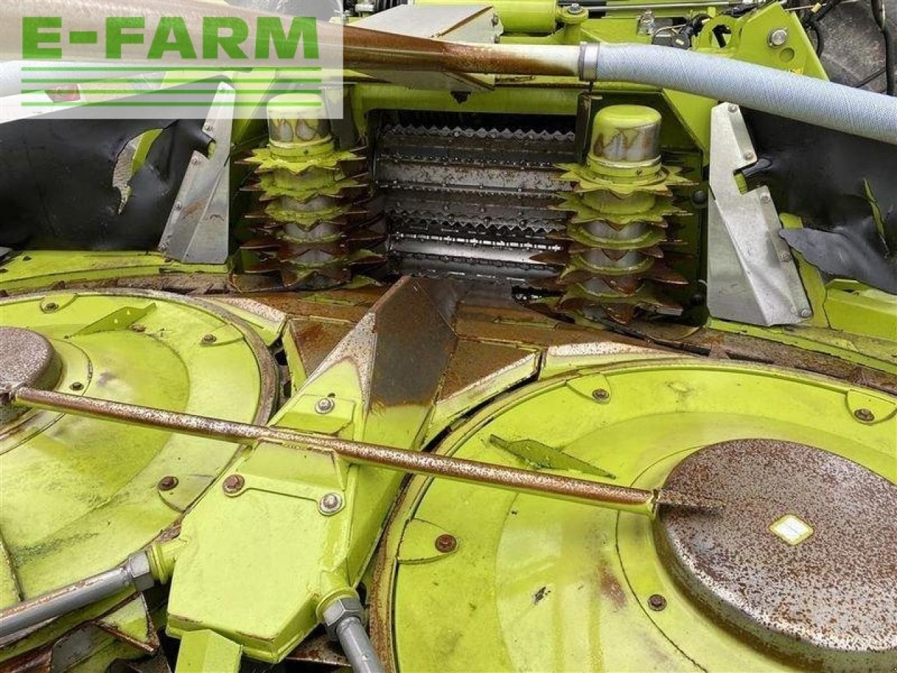 CLAAS orbis 600 sd 3t - Accessoire aux ensileuses: photos 5 CLAAS orbis 600 sd 3t - Accessoire aux ensileuses: photos 5