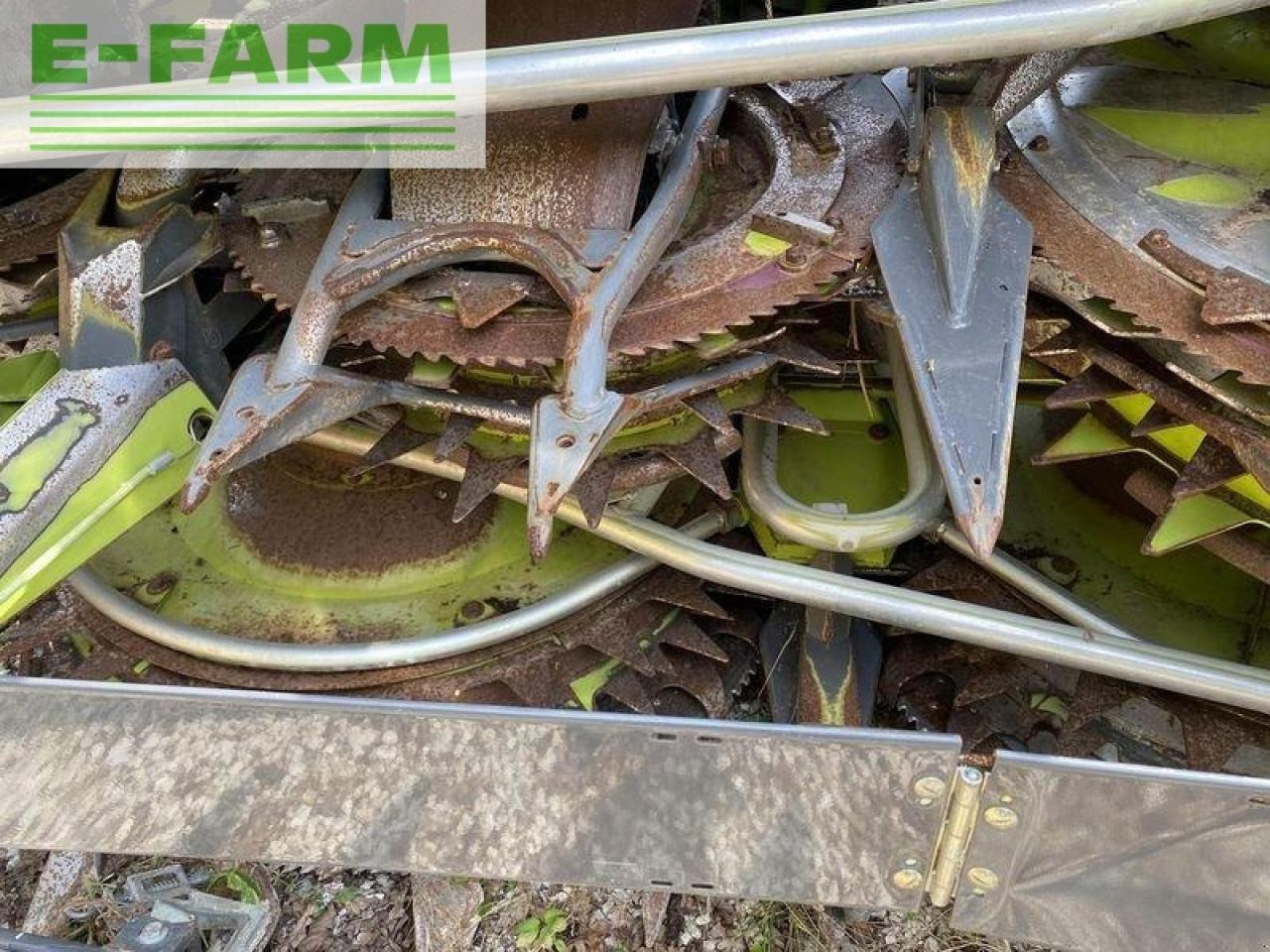 CLAAS orbis 900 - Accessoire aux ensileuses: photos 5 CLAAS orbis 900 - Accessoire aux ensileuses: photos 5