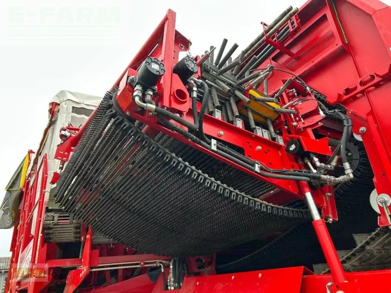 Arracheuse de pommes de terre Grimme evo 260: photos 8