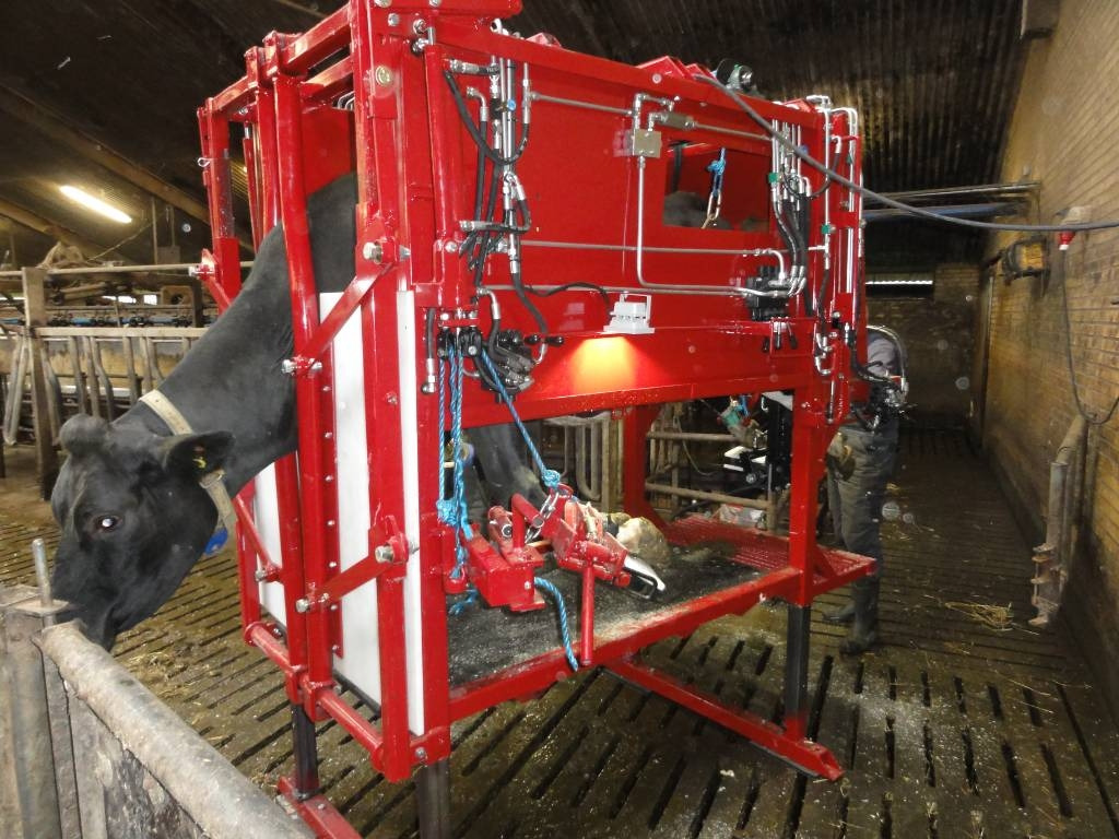 Pomi Klovbeskæringsboks / hoof trimming box - Machine agricole: photos 1 Pomi Klovbeskæringsboks / hoof trimming box - Machine agricole: photos 1