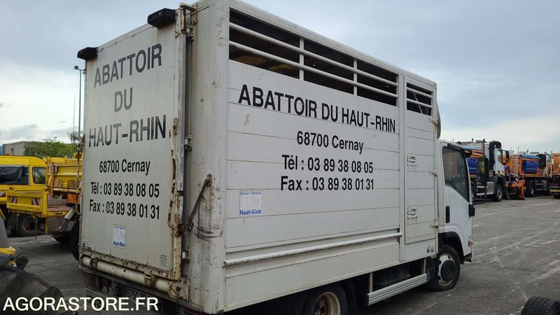 Bétaillère abattoir ISUZU - 2008 - Camion bétaillère: photos 3 Bétaillère abattoir ISUZU - 2008 - Camion bétaillère: photos 3
