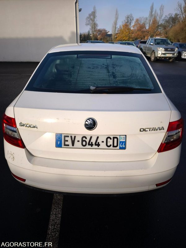 EV-644-CD - Non Roulant - SKODA OCTAVIA - VP - 339 260 Kms - Voiture: photos 4 EV-644-CD - Non Roulant - SKODA OCTAVIA - VP - 339 260 Kms - Voiture: photos 4