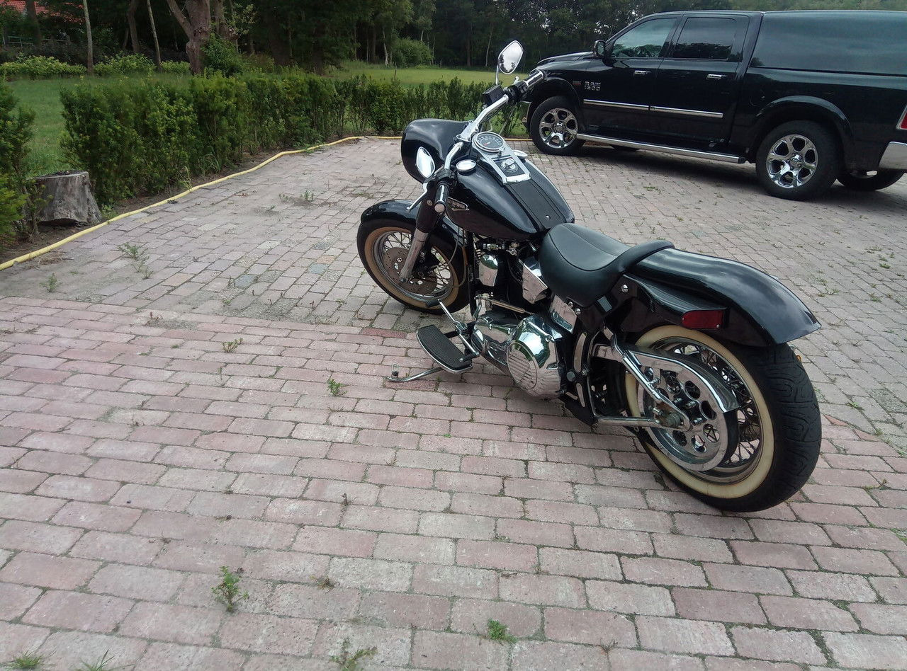 Harley-Davidson Custom Custom - Motocyclette: photos 1 Harley-Davidson Custom Custom - Motocyclette: photos 1