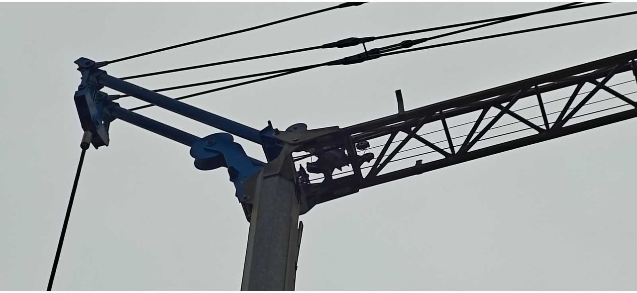 Grue à tour Benzzato Gru 120: photos 6 Grue à tour Benzzato Gru 120: photos 6