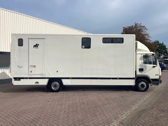 DAF LF 45.130 CLEAN HORSES NL-TRUCK - Camion chevaux: photos 5 DAF LF 45.130 CLEAN HORSES NL-TRUCK - Camion chevaux: photos 5