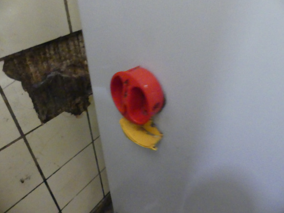 Batteur Kaplain BT40F - Machine agroalimentaire: photos 5 Batteur Kaplain BT40F - Machine agroalimentaire: photos 5