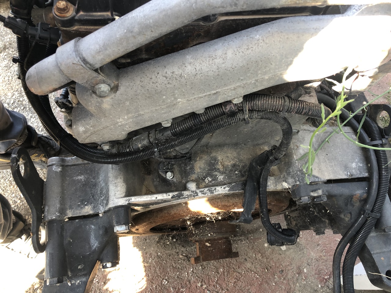 MAN TGA D2066 LF02 430HP EURO 3 COMMON RAIL - Moteur pour Camion: photos 5 MAN TGA D2066 LF02 430HP EURO 3 COMMON RAIL - Moteur pour Camion: photos 5