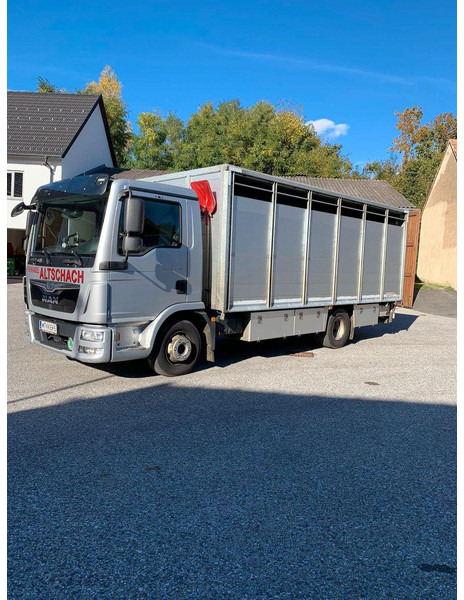 MAN TGL 12.250 - Camion bétaillère: photos 2 MAN TGL 12.250 - Camion bétaillère: photos 2