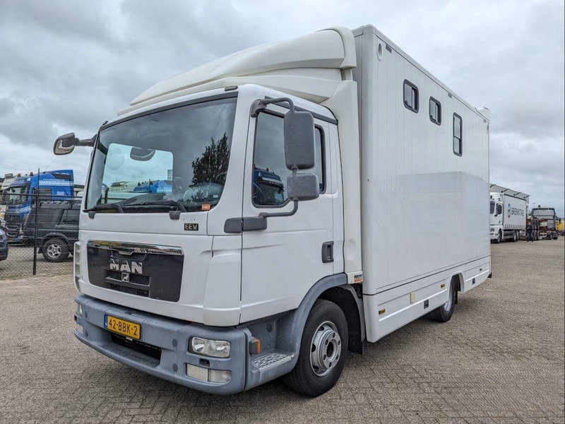 MAN TGL 12.250 - Horse transporter - Camion chevaux: photos 1 MAN TGL 12.250 - Horse transporter - Camion chevaux: photos 1
