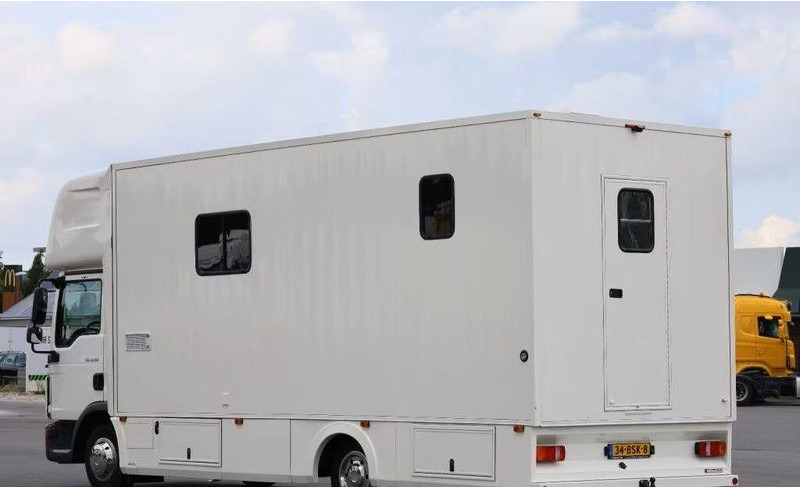 MAN TGL 8.190 - Camion chevaux: photos 4 MAN TGL 8.190 - Camion chevaux: photos 4