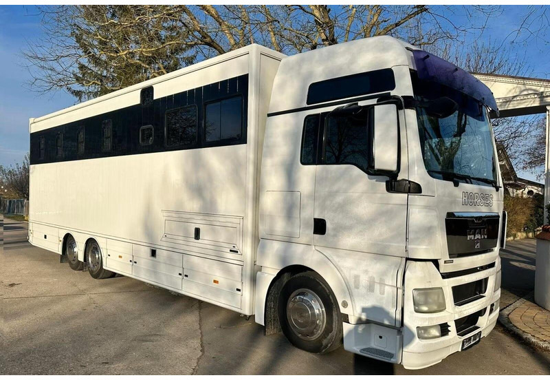 MAN TGX 26.440 - Horse transporter - Camion chevaux: photos 2 MAN TGX 26.440 - Horse transporter - Camion chevaux: photos 2