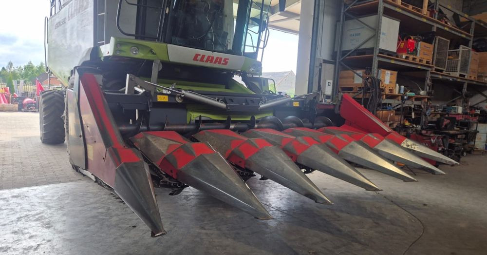 Dominoni - Cueilleur de maïs: photos 1 Dominoni - Cueilleur de maïs: photos 1