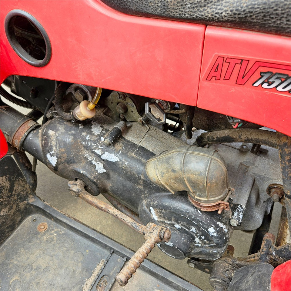 Quadricycle ABC 150 X: photos 10