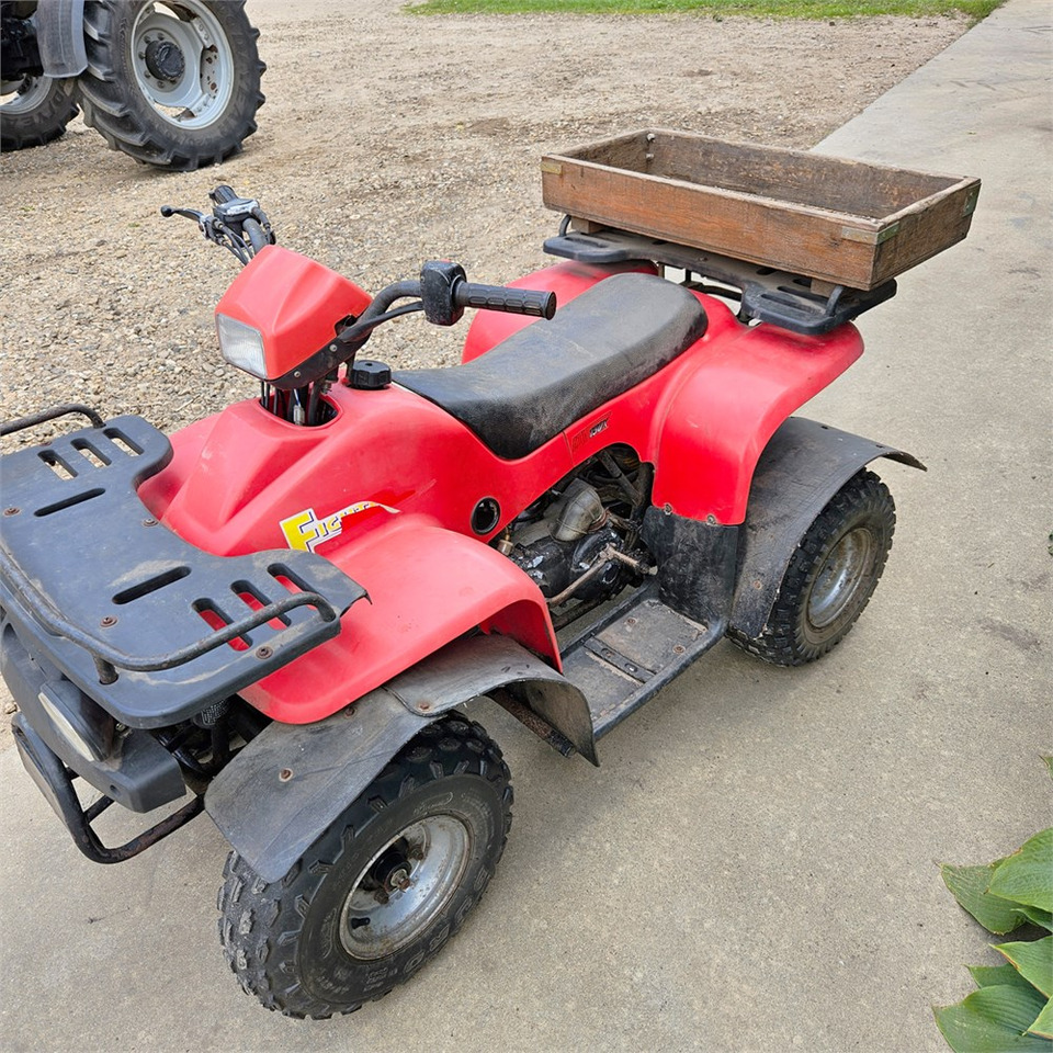 Quadricycle ABC 150 X: photos 8