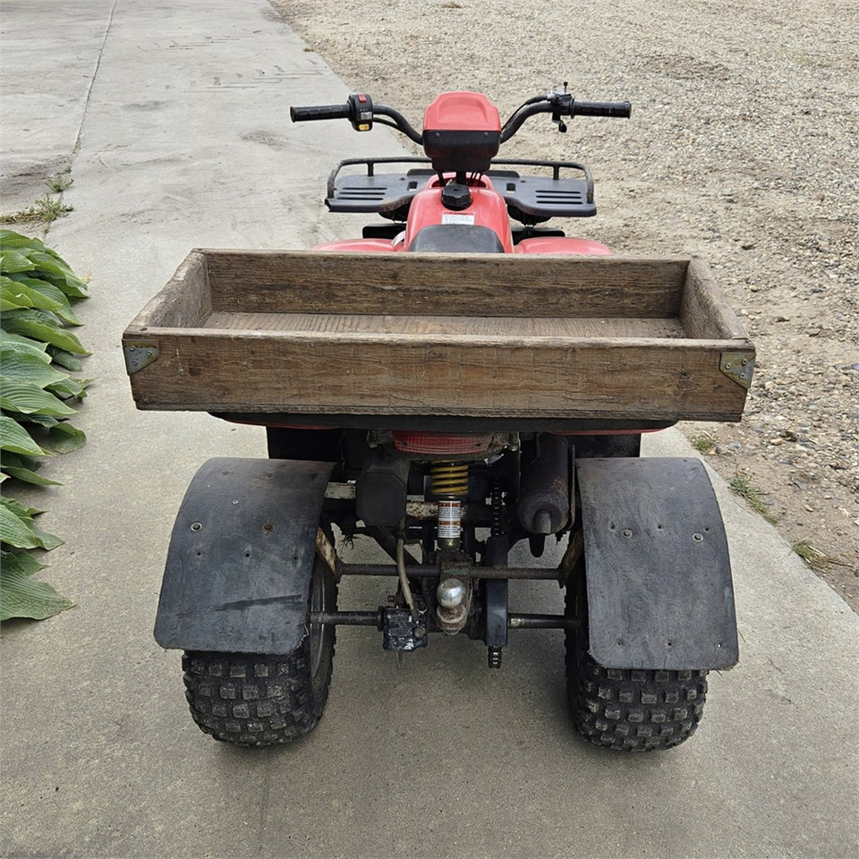 Quadricycle ABC 150 X: photos 6