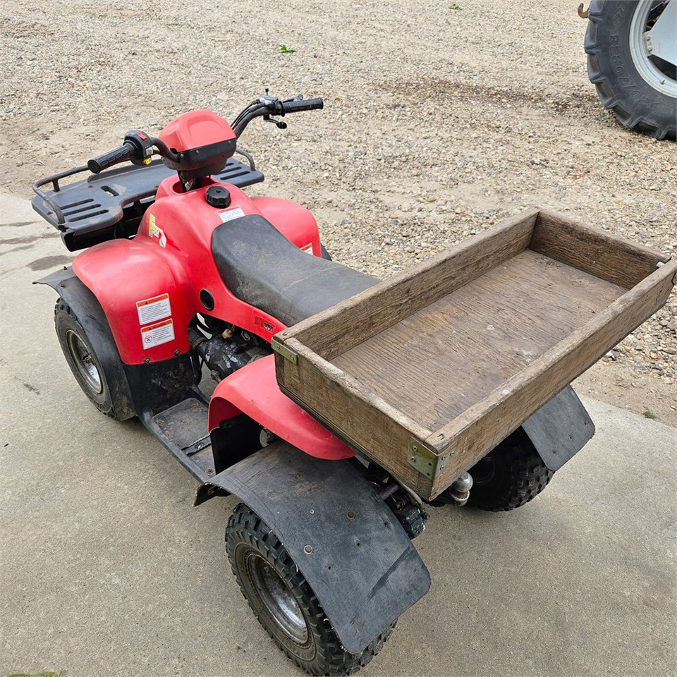 Quadricycle ABC 150 X: photos 7
