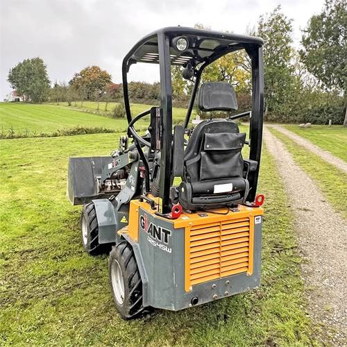 Giant D254SW - Mini chargeuse: photos 5 Giant D254SW - Mini chargeuse: photos 5