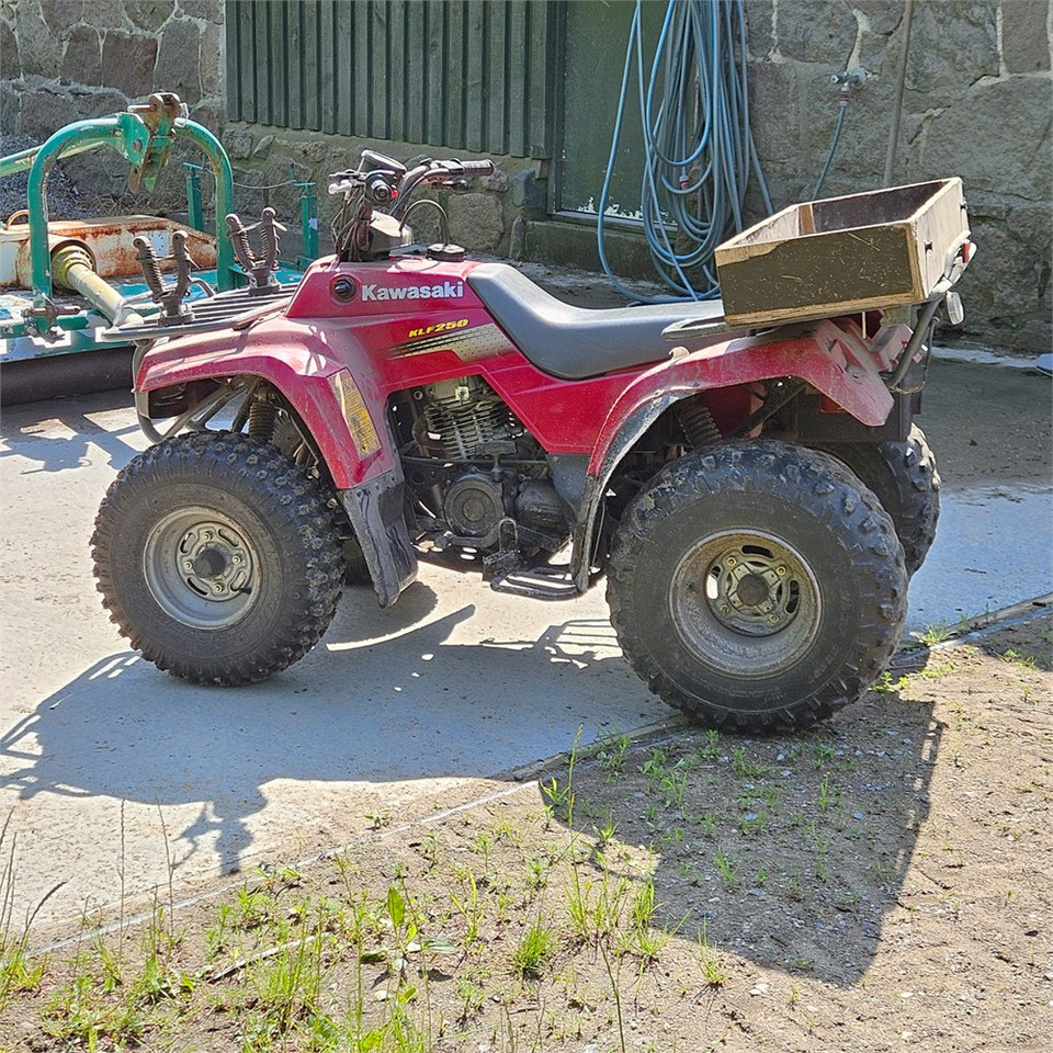 Kawasaki KLF 250 - Quadricycle: photos 3 Kawasaki KLF 250 - Quadricycle: photos 3
