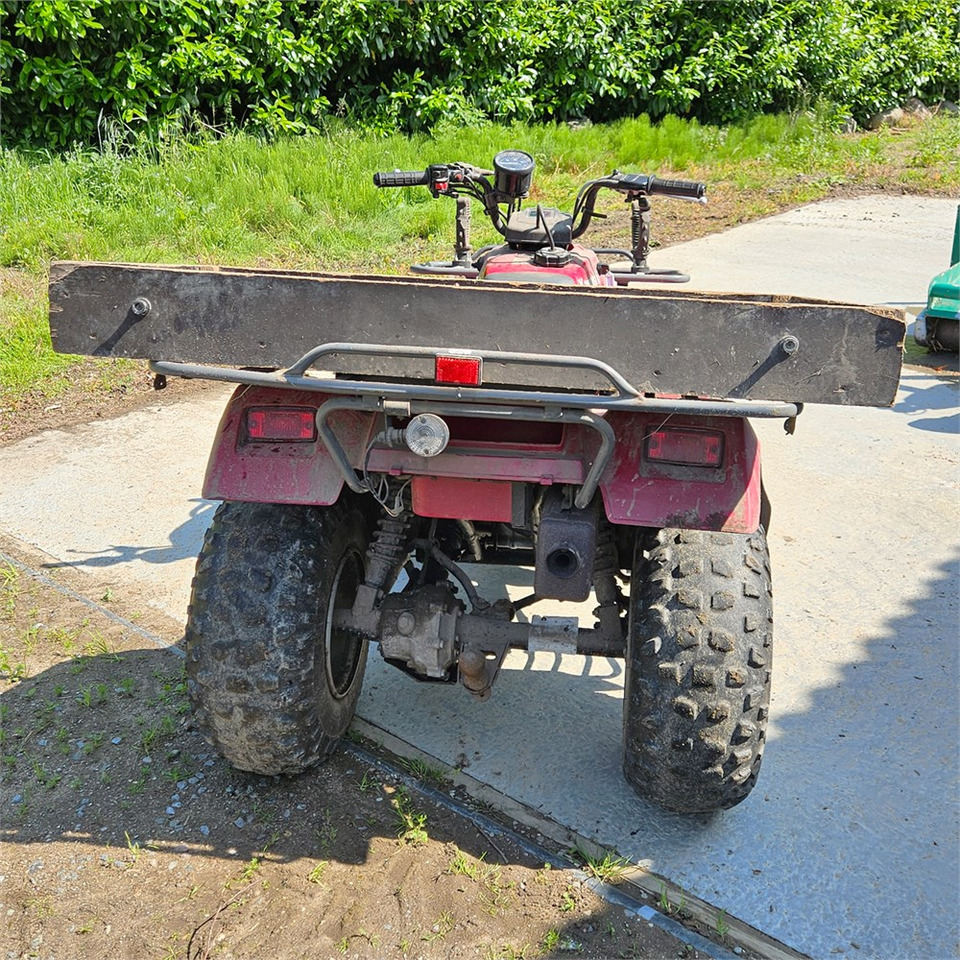 Kawasaki KLF 250 - Quadricycle: photos 5 Kawasaki KLF 250 - Quadricycle: photos 5