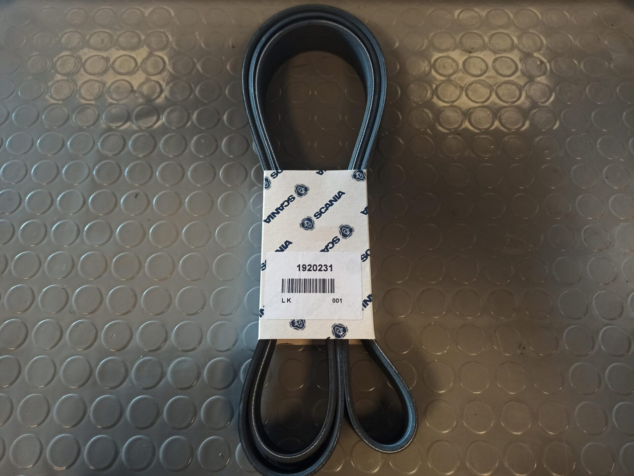 Courroie pour Camion SCANIA POLY-V-BELT - 1920231: photos 1