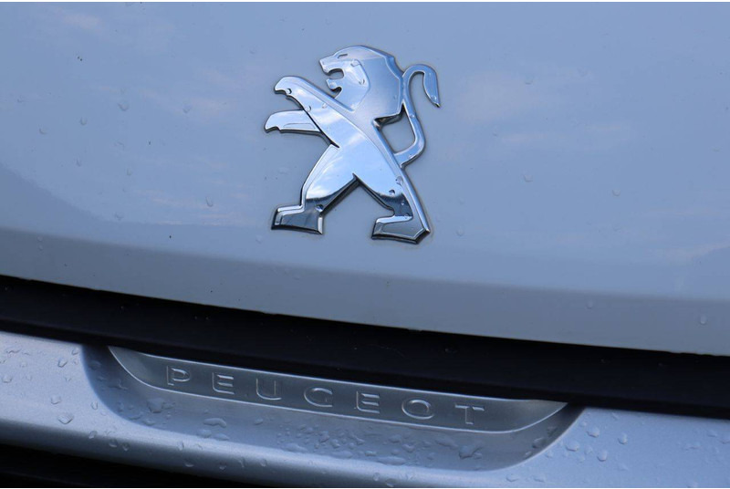 Fourgon utilitaire Peugeot Boxer: photos 11 Fourgon utilitaire Peugeot Boxer: photos 11