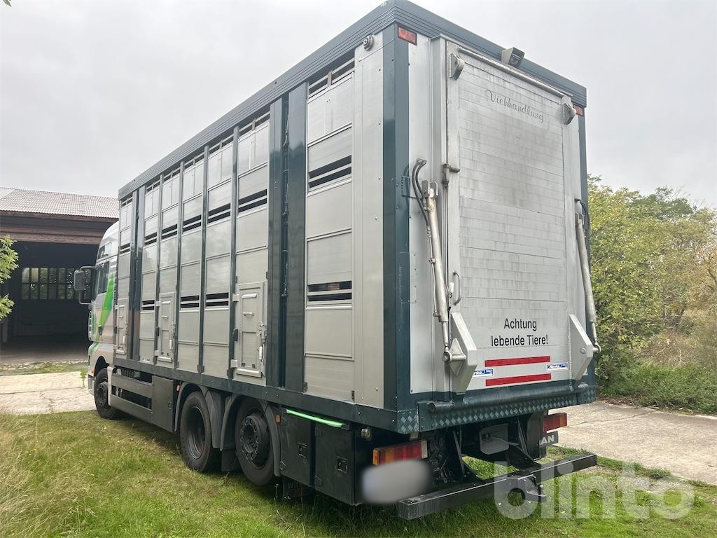 MAN TGA 26.419 MAN (2002) - Camion bétaillère: photos 4 MAN TGA 26.419 MAN (2002) - Camion bétaillère: photos 4