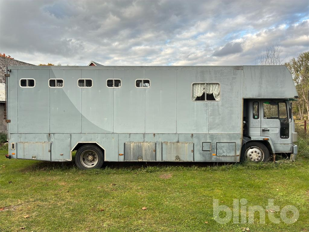 VOLVO FL614 - Camion chevaux: photos 2 VOLVO FL614 - Camion chevaux: photos 2