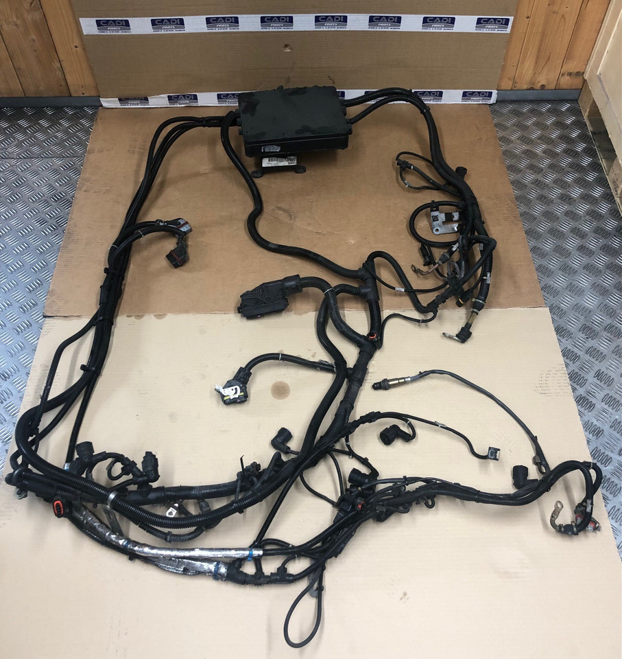 FASCIA CAVI MOTORE MAN 81254246448 - Moteur et pièces pour Camion: photos 1 FASCIA CAVI MOTORE MAN 81254246448 - Moteur et pièces pour Camion: photos 1