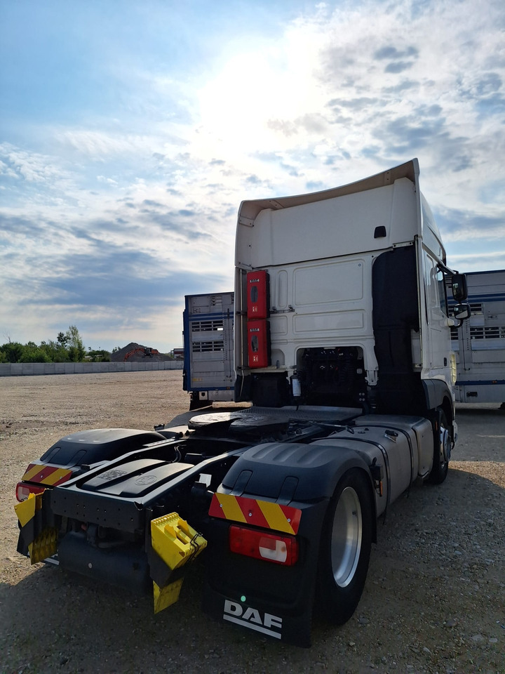 DAF XF 480 - Tracteur routier: photos 5 DAF XF 480 - Tracteur routier: photos 5