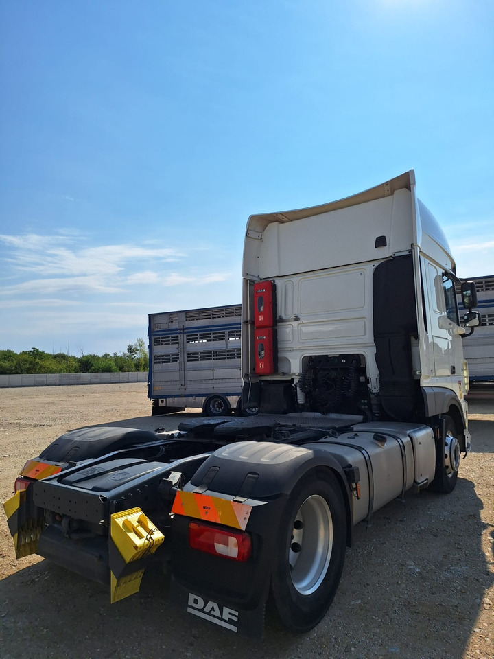 DAF XF 480 - Tracteur routier: photos 5 DAF XF 480 - Tracteur routier: photos 5